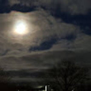 Meet your Posher, Josh